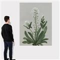Picture of White flower II  _GroupedProduct_Rectangle_Portrait_Canvas_