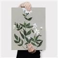 Picture of White flower III _GroupedProduct_Rectangle_Portrait_Canvas_