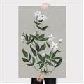 Picture of White flower III _GroupedProduct_Rectangle_Portrait_Canvas_