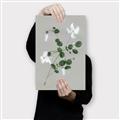 Picture of White flower IV _GroupedProduct_Rectangle_Portrait_Canvas_