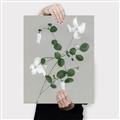 Picture of White flower IV _GroupedProduct_Rectangle_Portrait_Canvas_