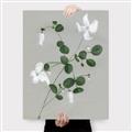 Picture of White flower IV _GroupedProduct_Rectangle_Portrait_Canvas_