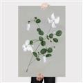 Picture of White flower IV _GroupedProduct_Rectangle_Portrait_Canvas_