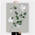 Picture of White flower IV _GroupedProduct_Rectangle_Portrait_Canvas_
