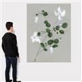 Picture of White flower IV _GroupedProduct_Rectangle_Portrait_Canvas_