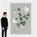 Picture of White flower IV _GroupedProduct_Rectangle_Portrait_Canvas_