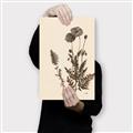 Picture of Vintage Botanical I  _GroupedProduct_Rectangle_Portrait_Canvas_