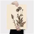 Picture of Vintage Botanical I  _GroupedProduct_Rectangle_Portrait_Canvas_