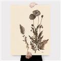 Picture of Vintage Botanical I  _GroupedProduct_Rectangle_Portrait_Canvas_