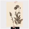 Picture of Vintage Botanical I  _GroupedProduct_Rectangle_Portrait_Canvas_