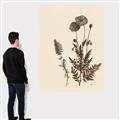 Picture of Vintage Botanical I  _GroupedProduct_Rectangle_Portrait_Canvas_