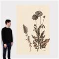 Picture of Vintage Botanical I  _GroupedProduct_Rectangle_Portrait_Canvas_