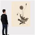 Picture of Vintage Botanical II  _GroupedProduct_Rectangle_Portrait_Canvas_