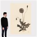Picture of Vintage Botanical II  _GroupedProduct_Rectangle_Portrait_Canvas_