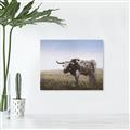 Picture of Roaming Around _GroupedProduct_Rectangle_Landscape_Canvas_