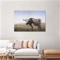 Picture of Roaming Around _GroupedProduct_Rectangle_Landscape_Canvas_
