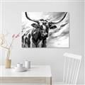 Picture of Longhorn Larry _GroupedProduct_Rectangle_Landscape_Canvas_