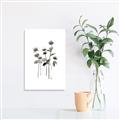 Picture of Black Botanical I  _GroupedProduct_Rectangle_Portrait_Canvas_