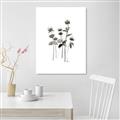 Picture of Black Botanical I  _GroupedProduct_Rectangle_Portrait_Canvas_