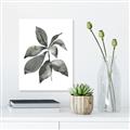 Picture of Black Watercolour Botanical I _GroupedProduct_Rectangle_Portrait_Canvas_