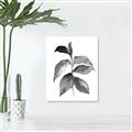 Picture of Black Watercolour Botanical II  _GroupedProduct_Rectangle_Portrait_Canvas_