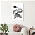 Picture of Black Watercolour Botanical II  _GroupedProduct_Rectangle_Portrait_Canvas_