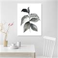 Picture of Black Watercolour Botanical II  _GroupedProduct_Rectangle_Portrait_Canvas_