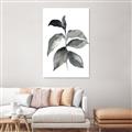 Picture of Black Watercolour Botanical II  _GroupedProduct_Rectangle_Portrait_Canvas_