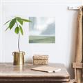 Picture of Serene Landscape  _GroupedProduct_Square_Canvas_