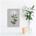 Picture of White flower I  _GroupedProduct_Rectangle_Portrait_Canvas_