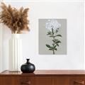 Picture of White flower I  _GroupedProduct_Rectangle_Portrait_Canvas_