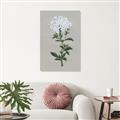 Picture of White flower I  _GroupedProduct_Rectangle_Portrait_Canvas_