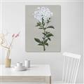 Picture of White flower I  _GroupedProduct_Rectangle_Portrait_Canvas_
