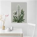Picture of White flower II  _GroupedProduct_Rectangle_Portrait_Canvas_