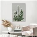 Picture of White flower II  _GroupedProduct_Rectangle_Portrait_Canvas_