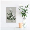 Picture of White flower III _GroupedProduct_Rectangle_Portrait_Canvas_