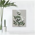 Picture of White flower III _GroupedProduct_Rectangle_Portrait_Canvas_