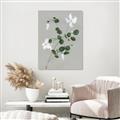Picture of White flower IV _GroupedProduct_Rectangle_Portrait_Canvas_