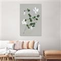 Picture of White flower IV _GroupedProduct_Rectangle_Portrait_Canvas_