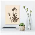 Picture of Vintage Botanical I  _GroupedProduct_Rectangle_Portrait_Canvas_