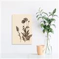 Picture of Vintage Botanical I  _GroupedProduct_Rectangle_Portrait_Canvas_