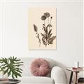 Picture of Vintage Botanical I  _GroupedProduct_Rectangle_Portrait_Canvas_