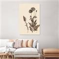 Picture of Vintage Botanical I  _GroupedProduct_Rectangle_Portrait_Canvas_