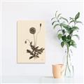 Picture of Vintage Botanical II  _GroupedProduct_Rectangle_Portrait_Canvas_