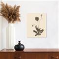 Picture of Vintage Botanical II  _GroupedProduct_Rectangle_Portrait_Canvas_