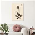 Picture of Vintage Botanical II  _GroupedProduct_Rectangle_Portrait_Canvas_