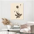 Picture of Vintage Botanical II  _GroupedProduct_Rectangle_Portrait_Canvas_
