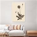 Picture of Vintage Botanical II  _GroupedProduct_Rectangle_Portrait_Canvas_