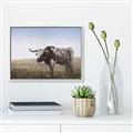 Picture of Roaming Around _GroupedProduct_Rectangle_Landscape_Canvas_Framed_