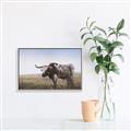Picture of Roaming Around _GroupedProduct_Rectangle_Landscape_Canvas_Framed_